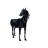 Horse-BBQ-2-1.jpg